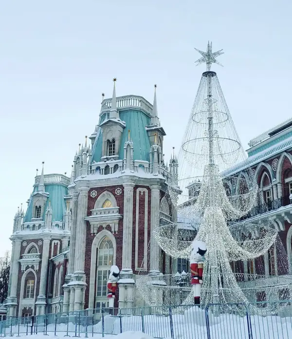Новый год в Царицыно для школьных групп
