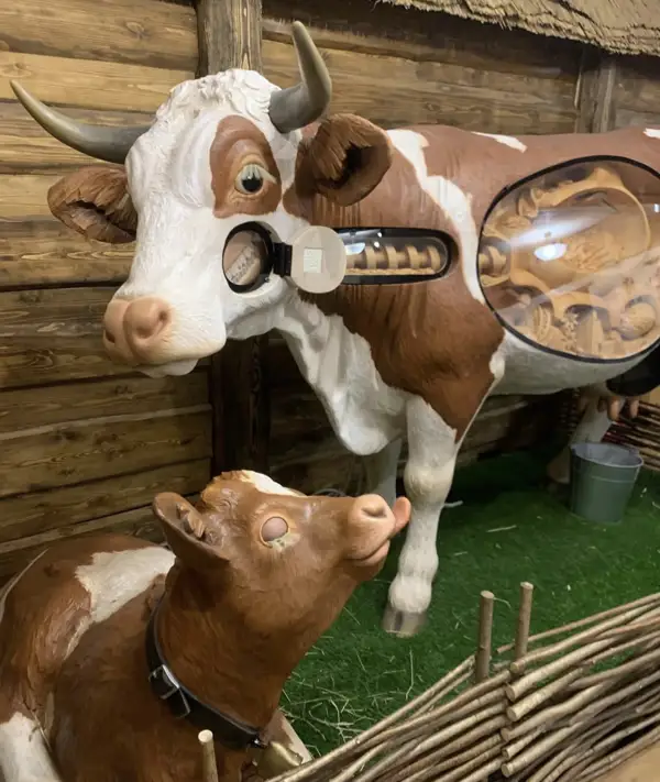 Интерактивные экспонаты в музее сырка