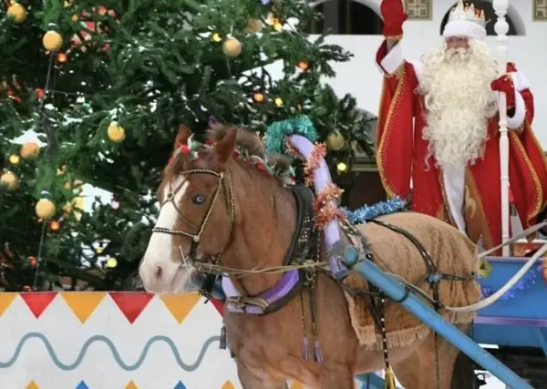 Квест для школьников Новогодние тайны Измайловского Кремля