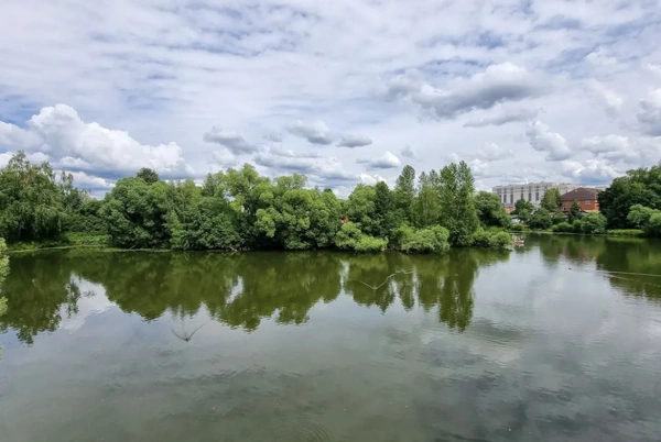 Экскурсия по парку Остафьево