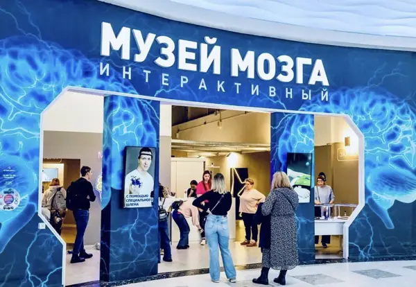 образовательная экскурсия в музей мозга для организованных групп