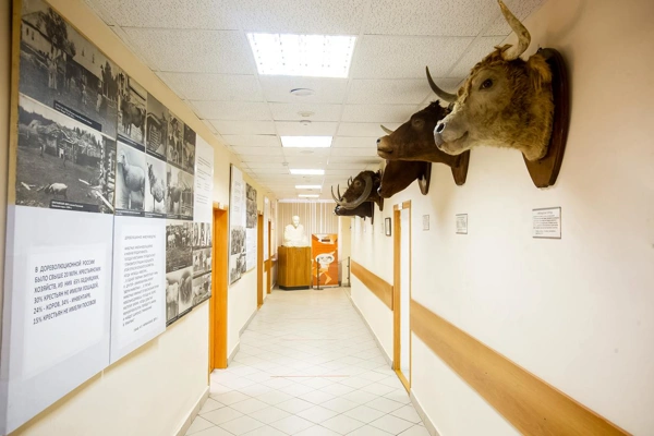 Зал в музее животноводства имени Е.Ф.Лискуна