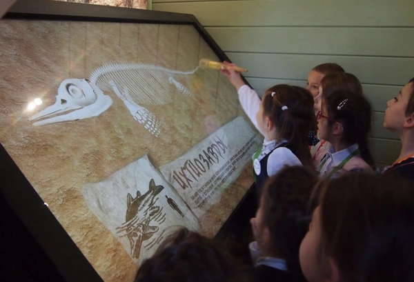 Дети на экскурсии разглядываю экспонаты в музее-экоцентре Лесная сказка