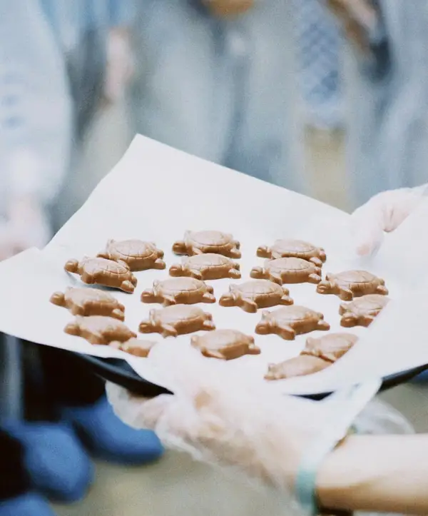 Экскурсия на шоколадную фабрику French Kiss в Москве