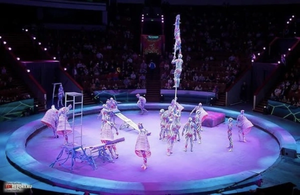 Арена цирка на Вернадского во время представления