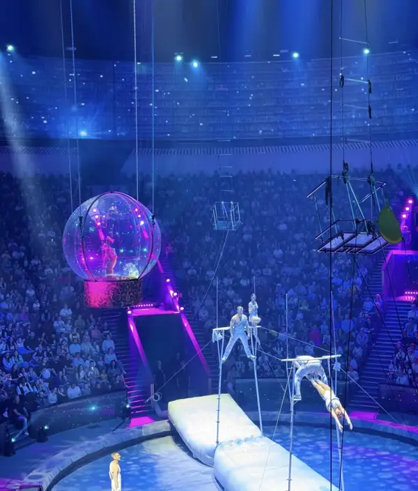 Интерактивная программа для школьников в цирке